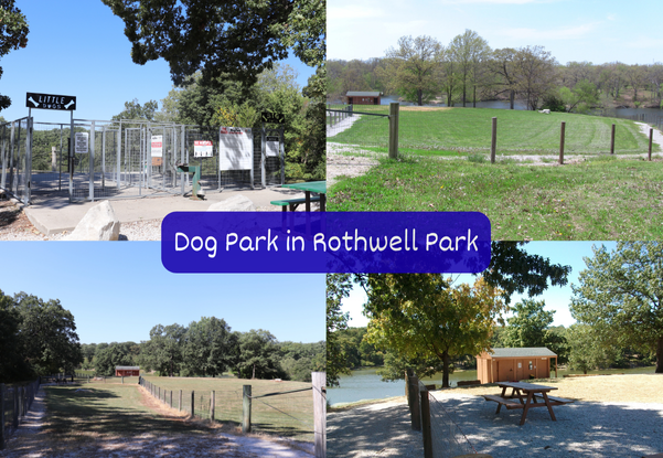 Dog Park